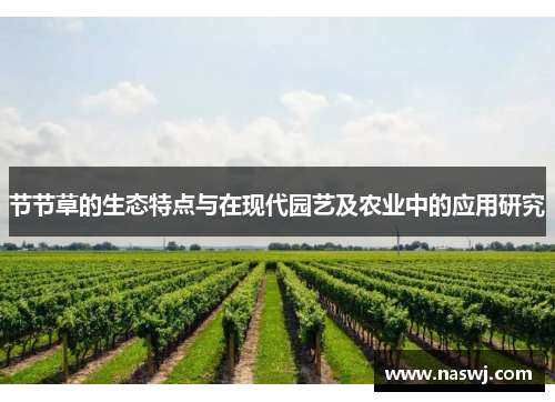节节草的生态特点与在现代园艺及农业中的应用研究