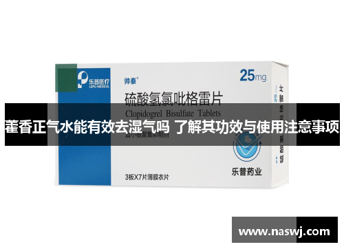 藿香正气水能有效去湿气吗 了解其功效与使用注意事项