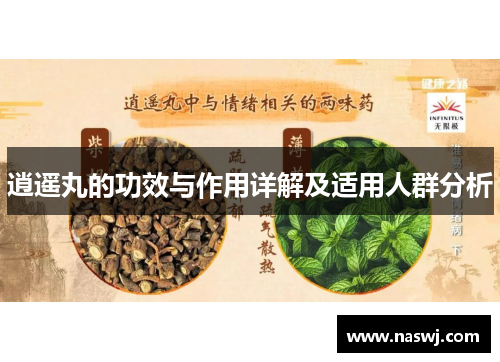 逍遥丸的功效与作用详解及适用人群分析
