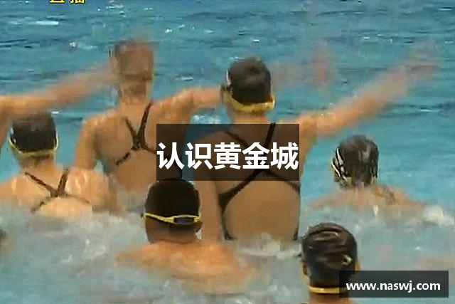 认识黄金城